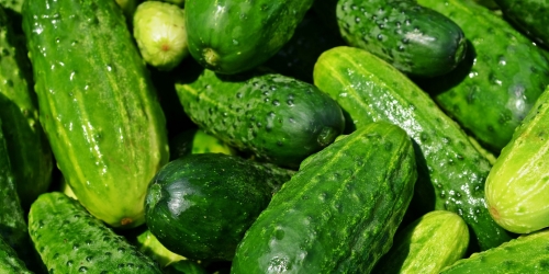 cucumbers_vegetables